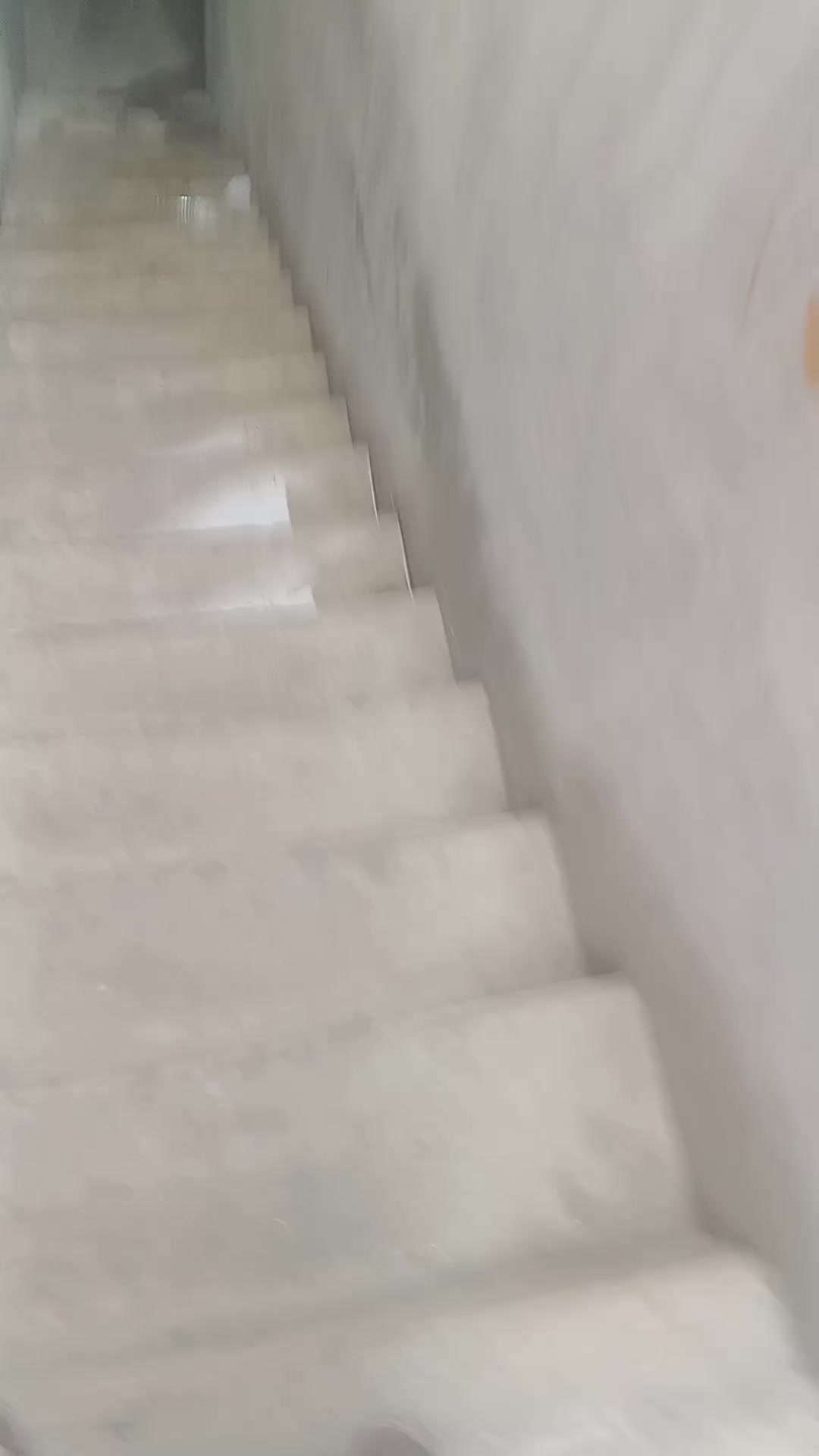 @ajazaliali239jazaliali