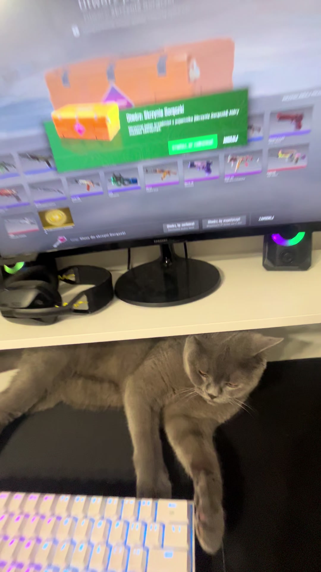 @Grafi🐱