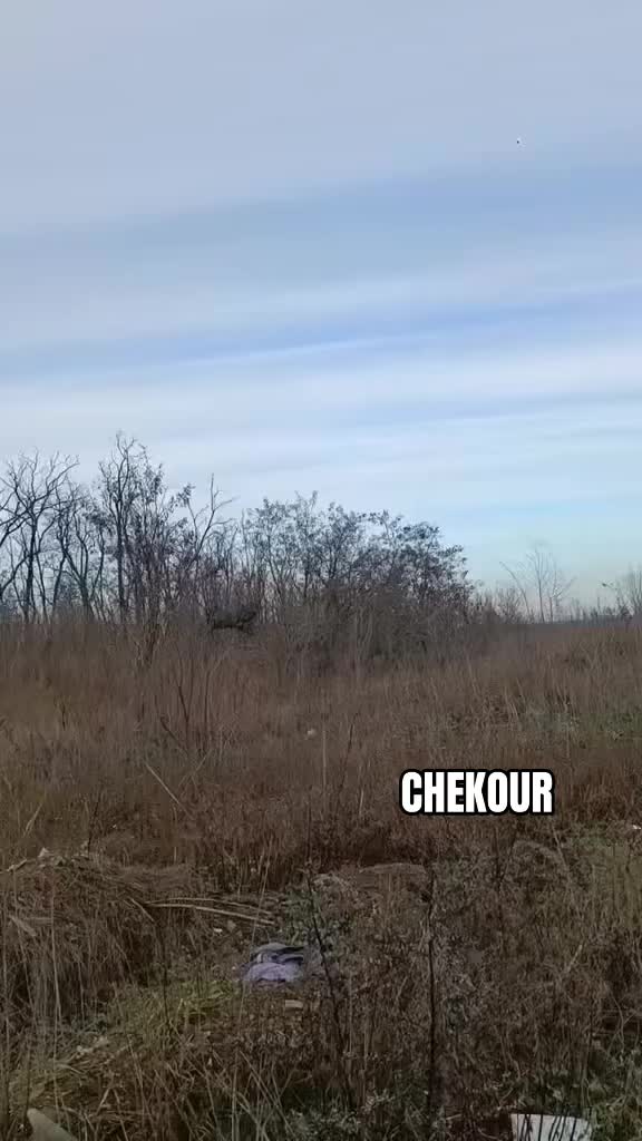 @ЧЕКУР  Z 🇷🇺🤙🎻💀