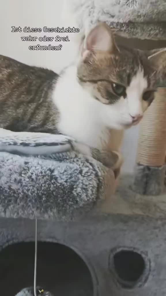 @Minnoş❤💙61