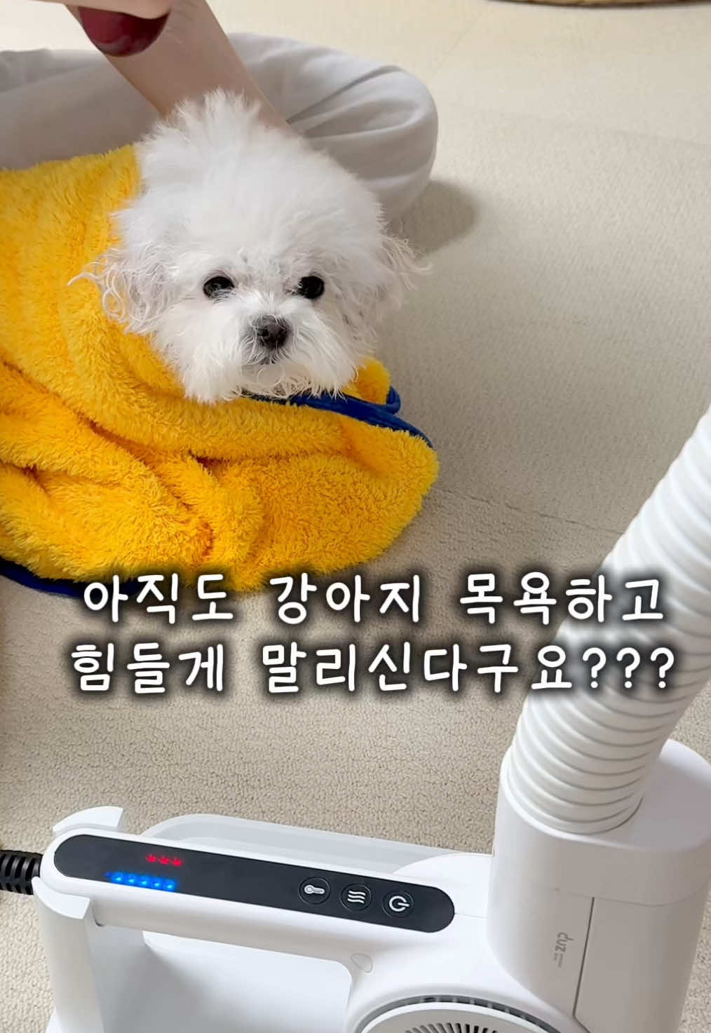 @메리하리