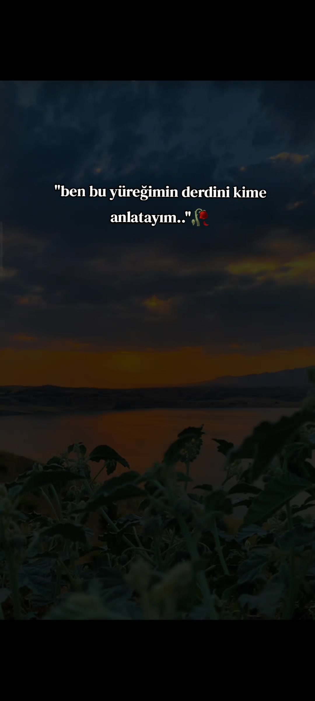 @𝐒 𝐓 𝐄 𝐑 𝐊 ✷