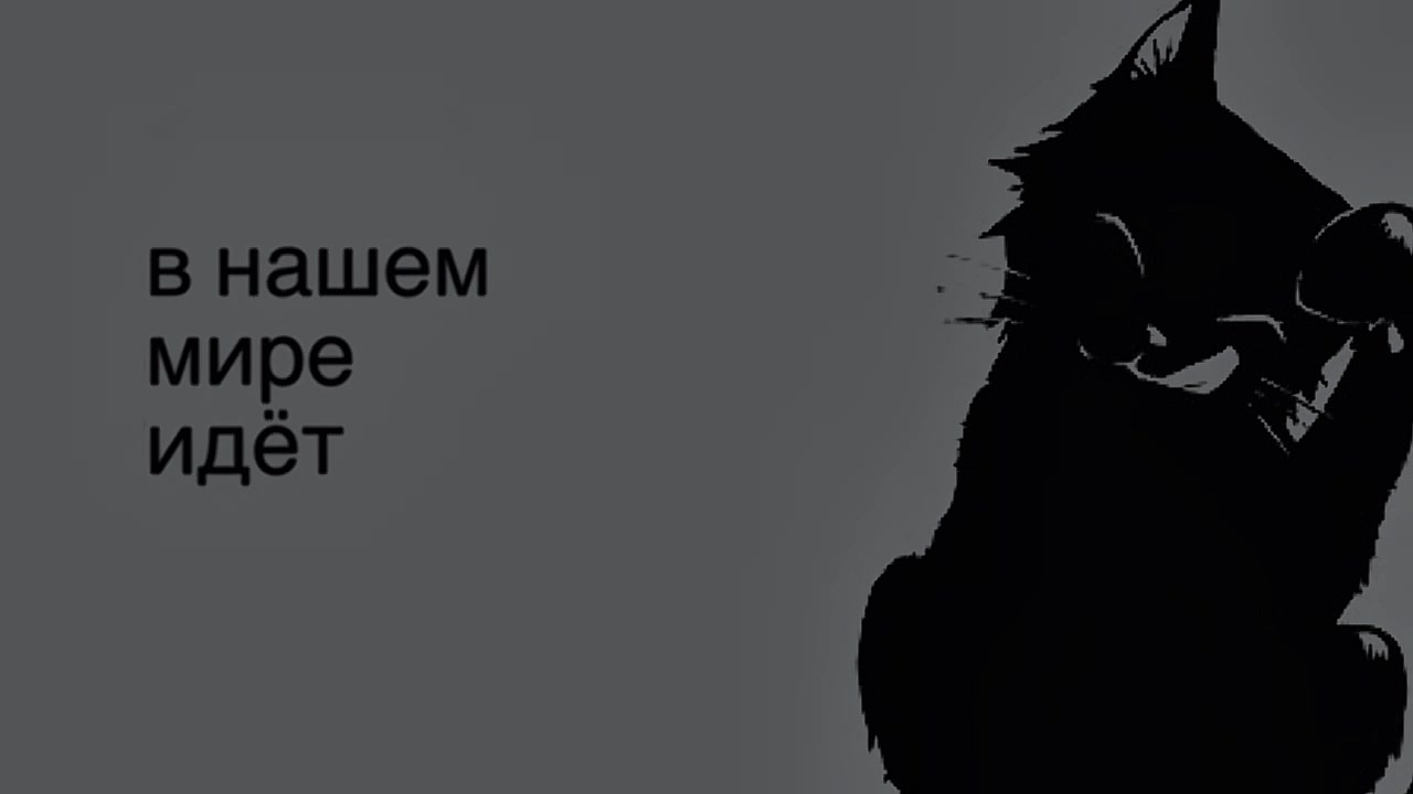 @тимурпеченькаXVII #antisocial