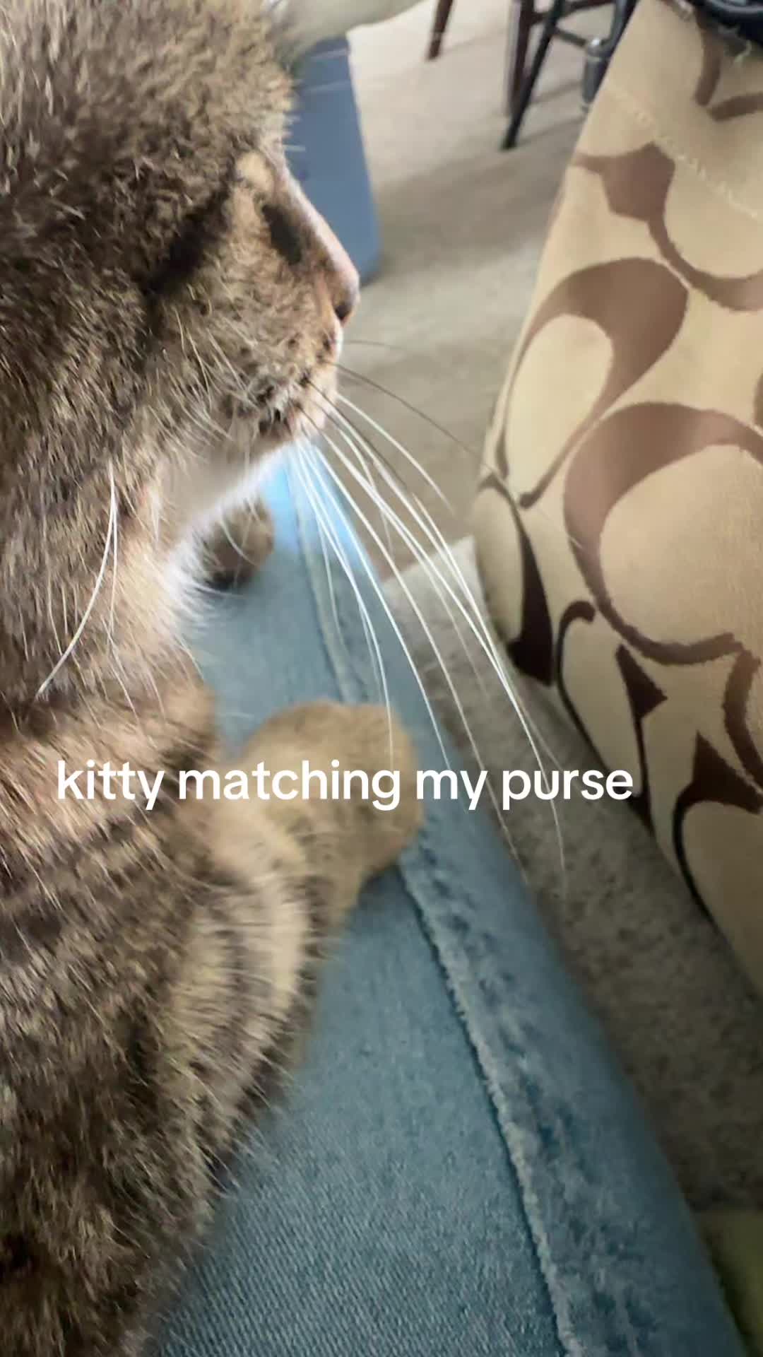 @g