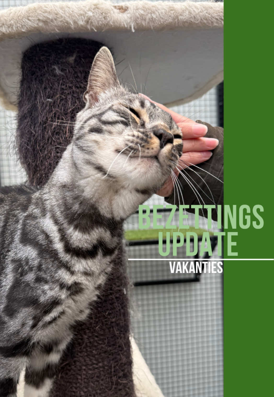 @HuisdierenhotelDeHeggeWeert