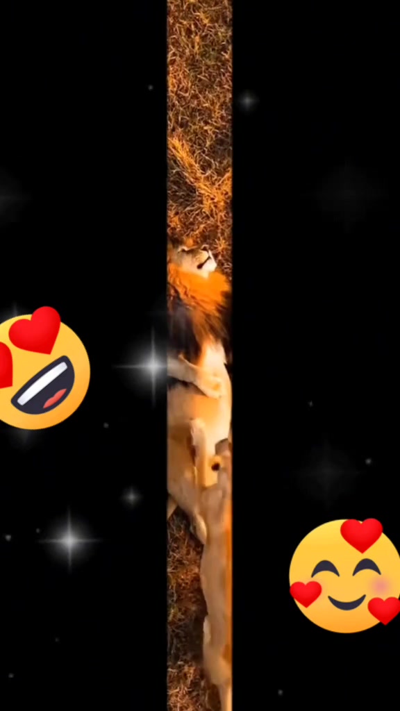 @꧁🔥♛𝖁𝖄𝕶𝕿𝕳𝕺𝕽♛🔥꧂