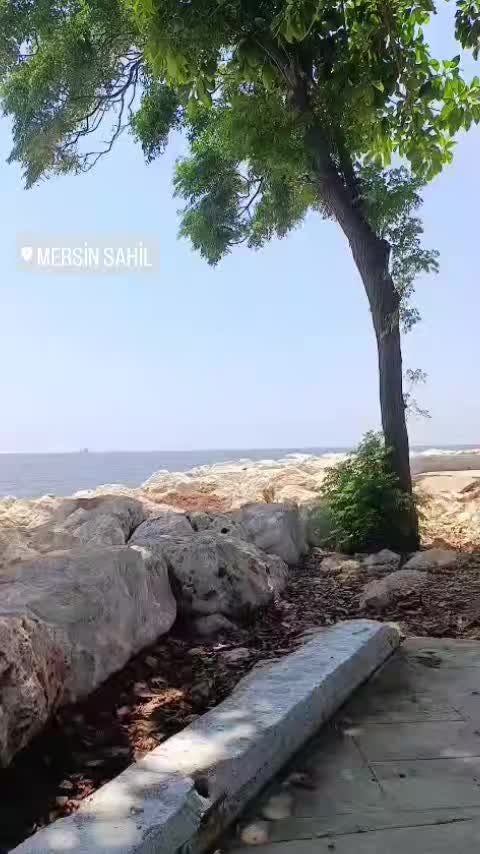 @Figennn