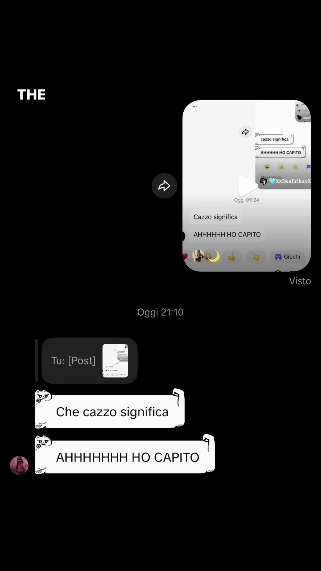 @spenta_.🦈