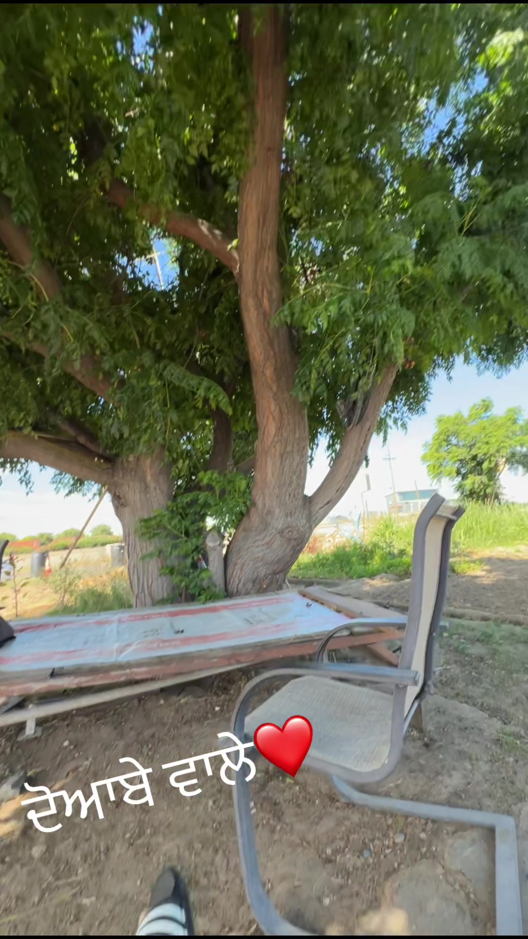 @☬ ਜੱ🦅ਟ ☬