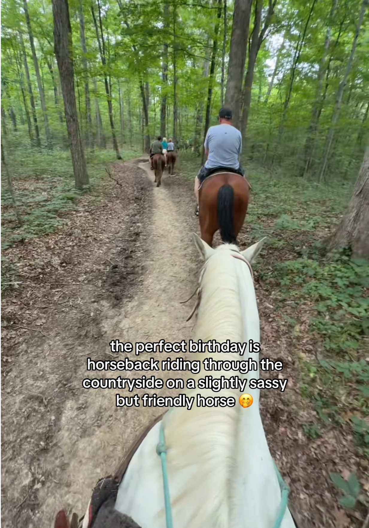 @Haley The Homesteader