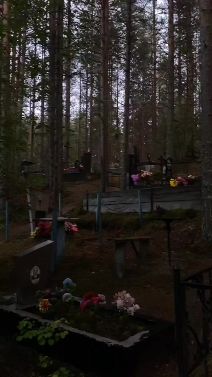 @Крик