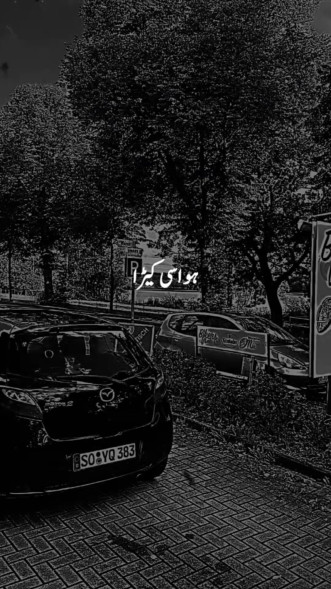 @ngint182🇨🇭
