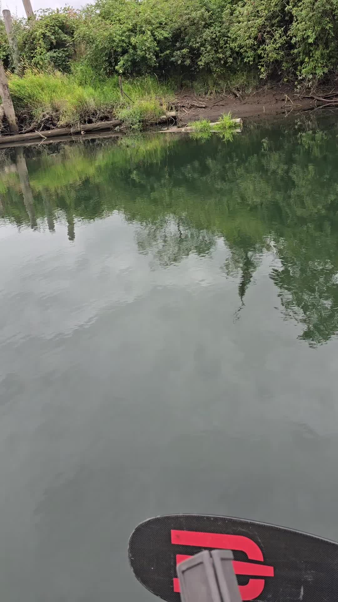 @yo