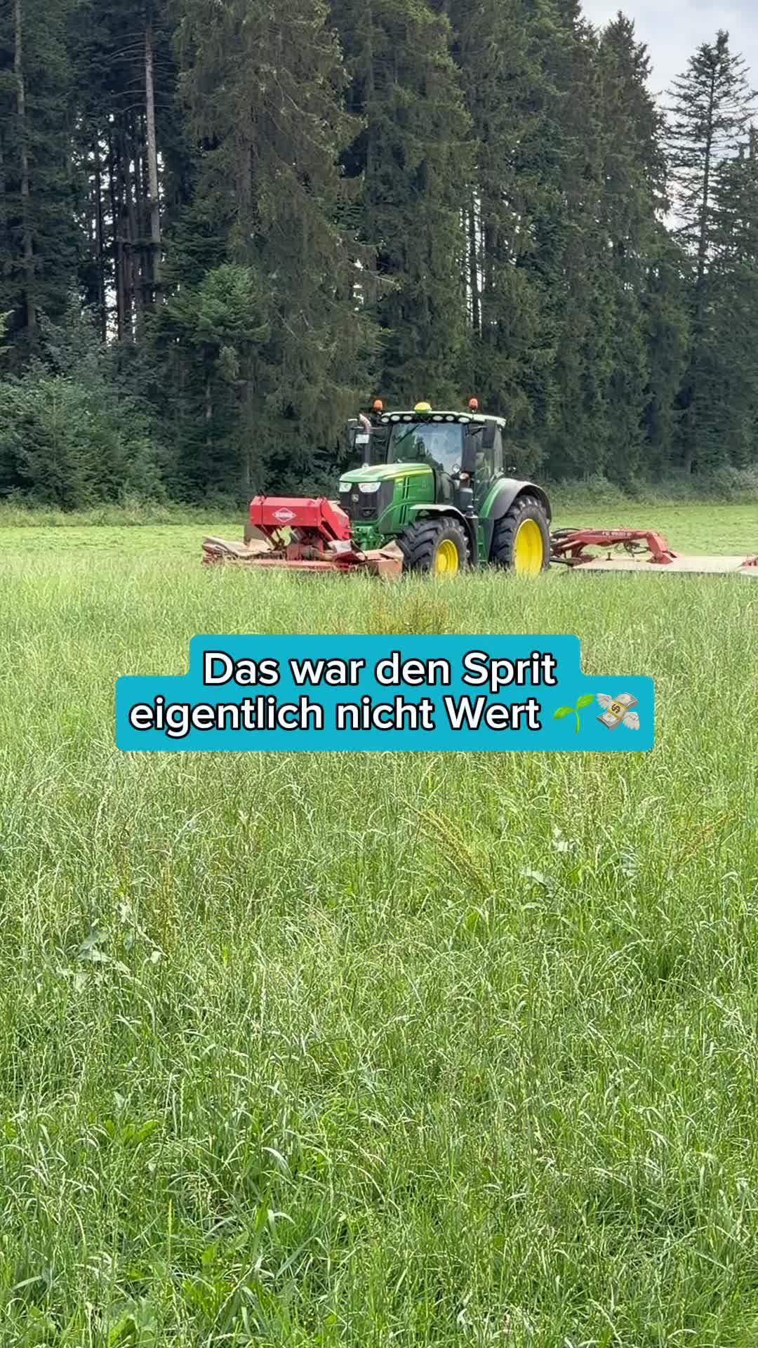 @Schwenks-Hofleben | SWR Heimat