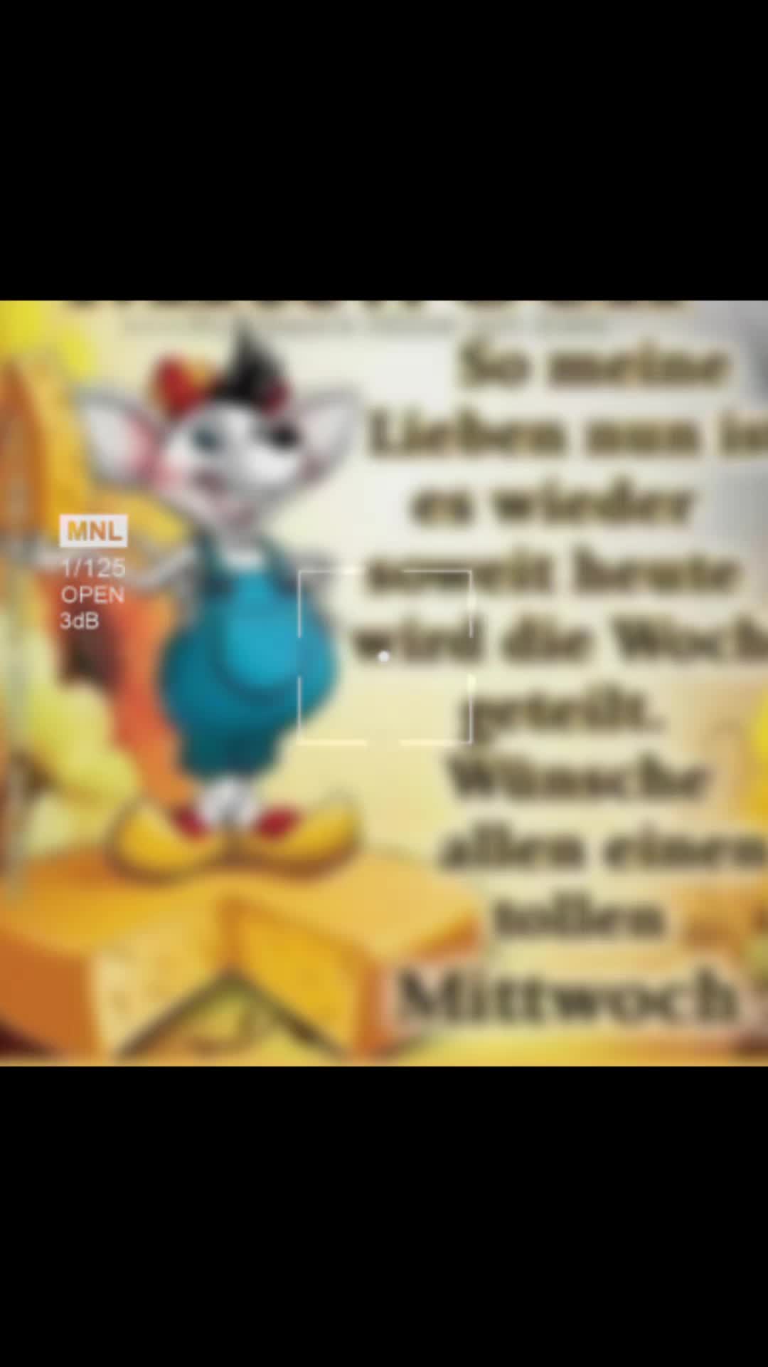 @hammly
