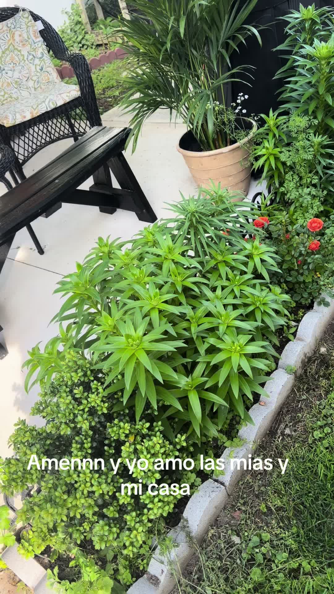 @Margarita Valdez