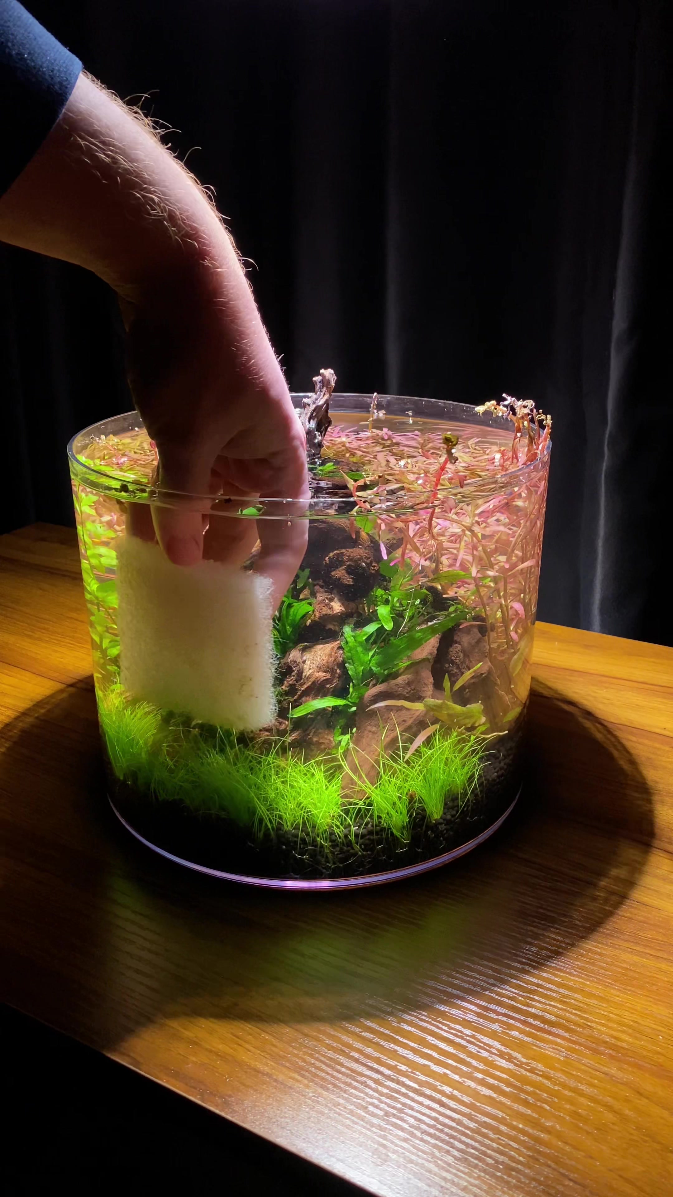@Nanoscape