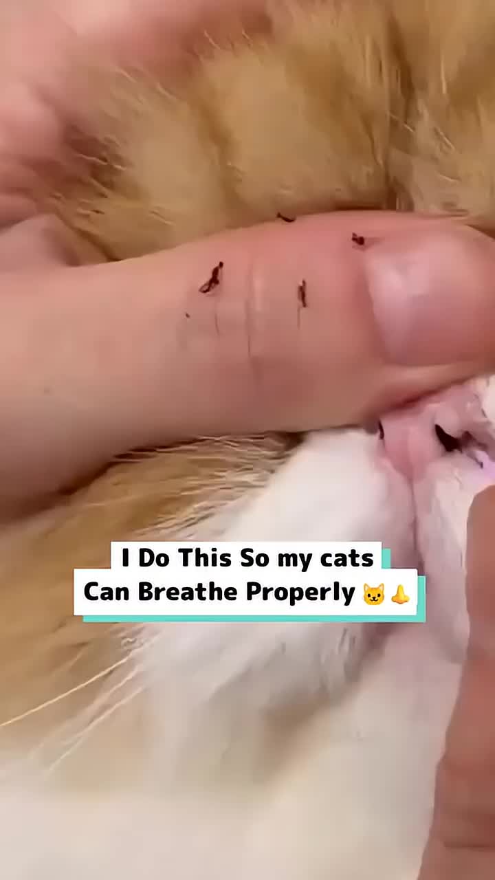 @craftfactory