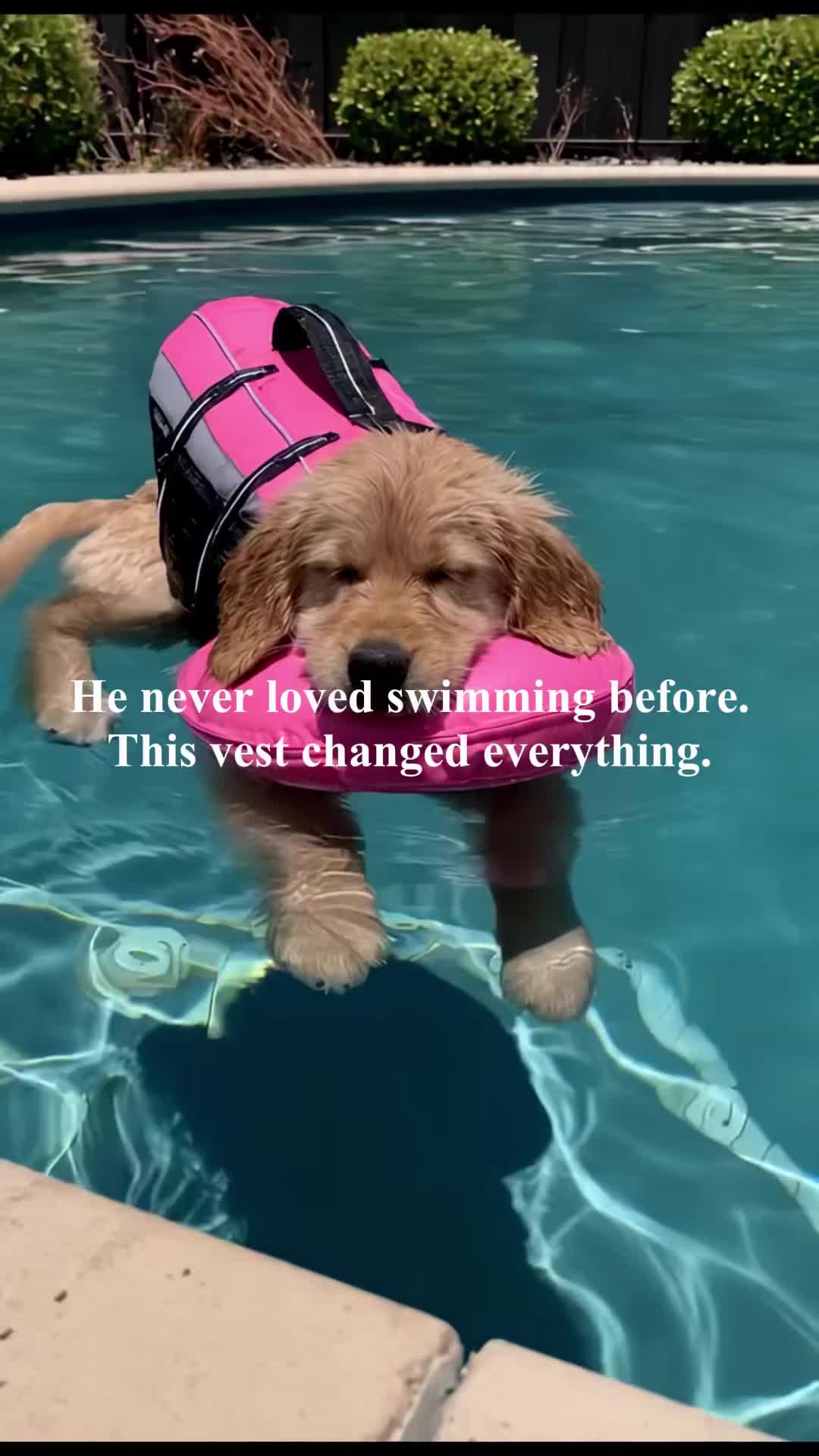 @middlepets