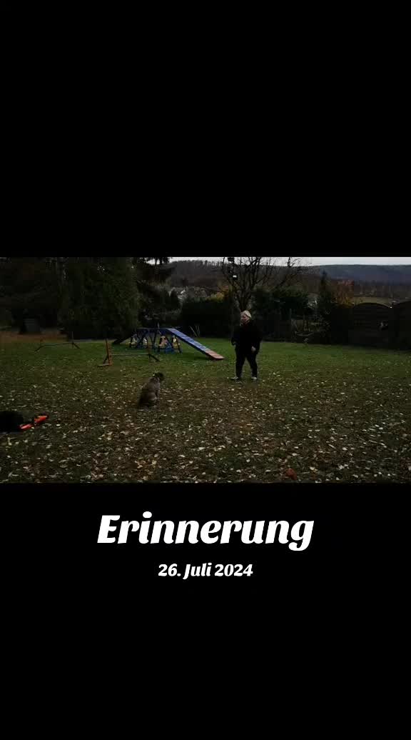 @Fitness f&uuml;r Pfoten