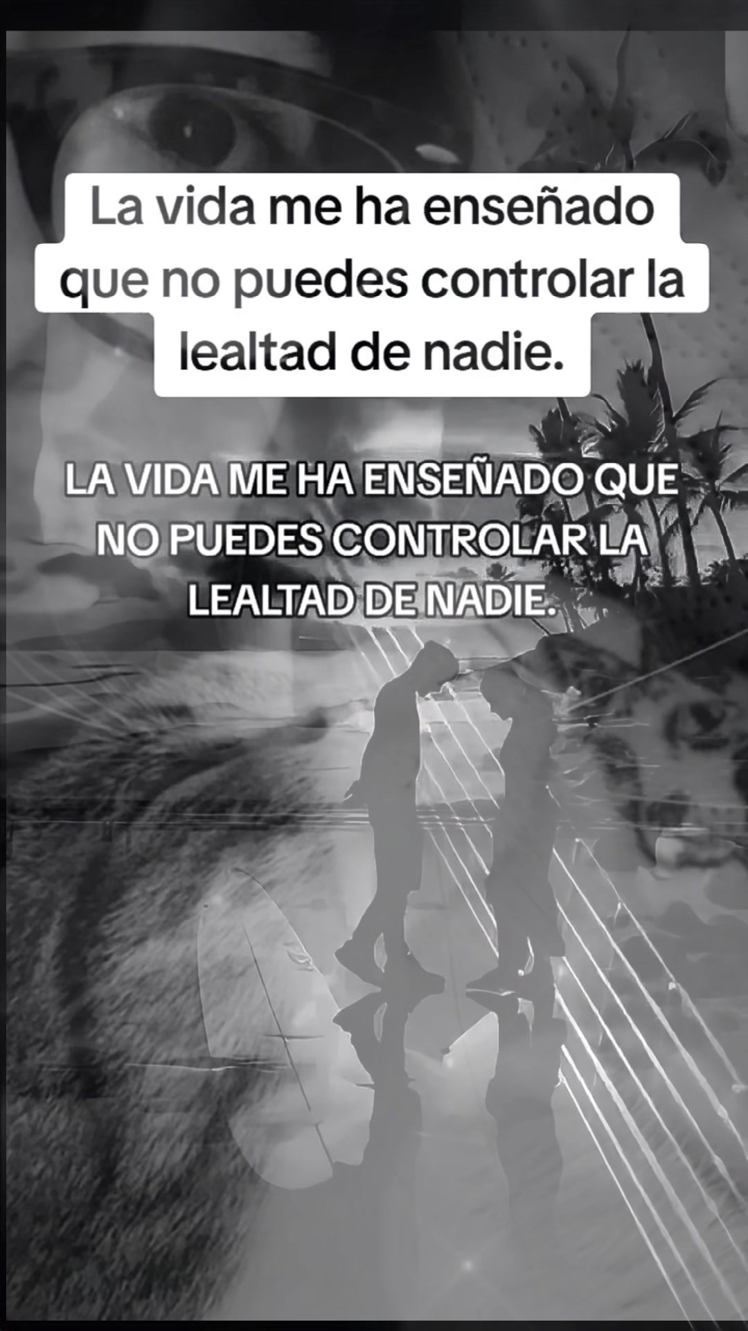 @La coty