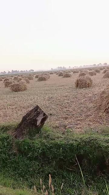 @Qaisar Abbas.804