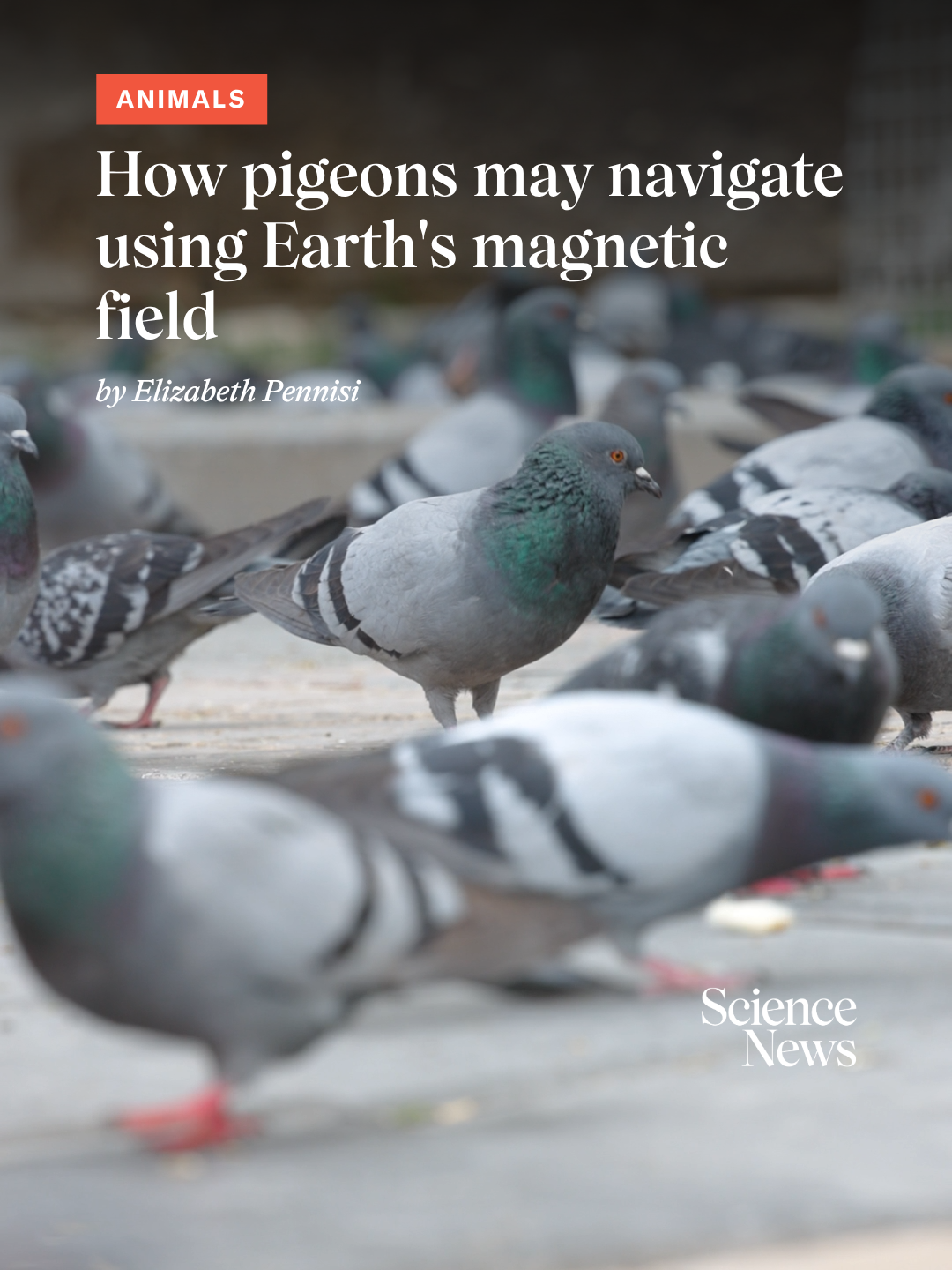 @Science News