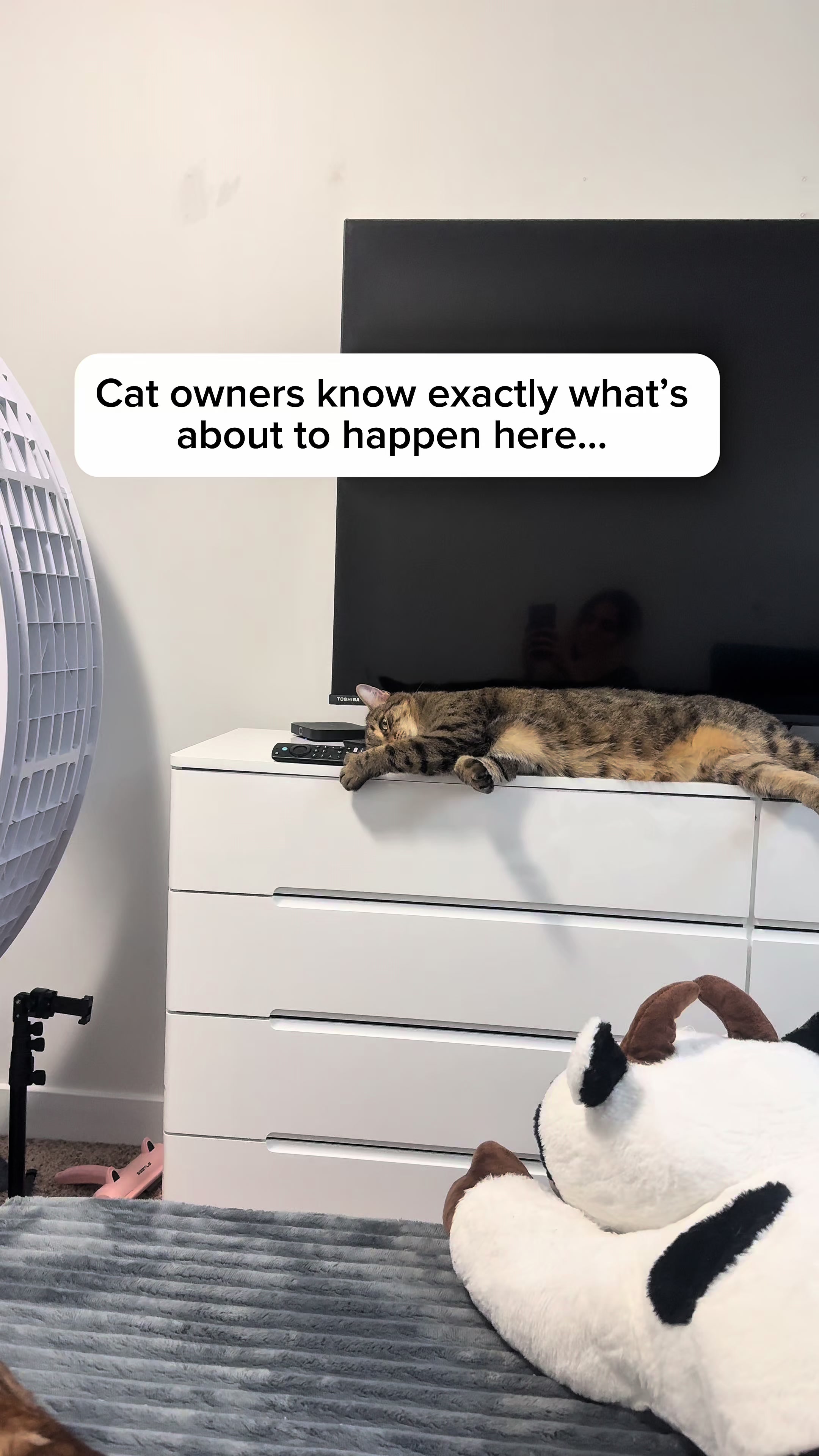 @Three Nawty Cats