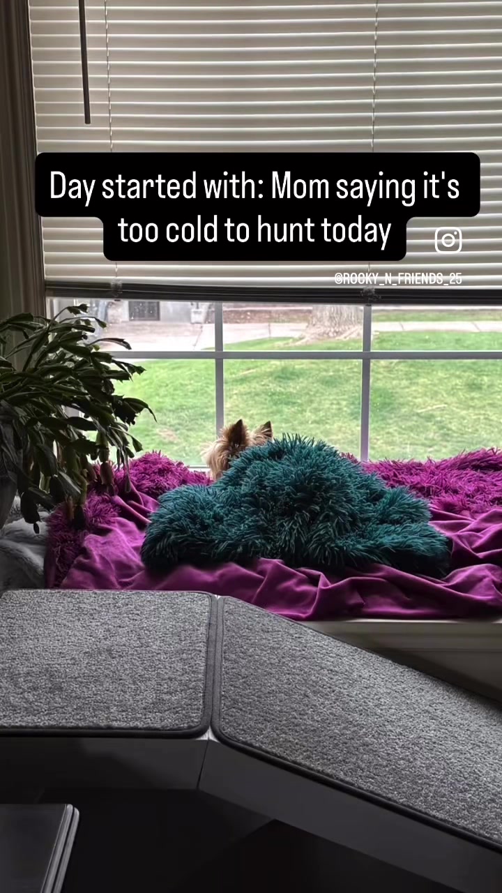 @rocky_n_friends25