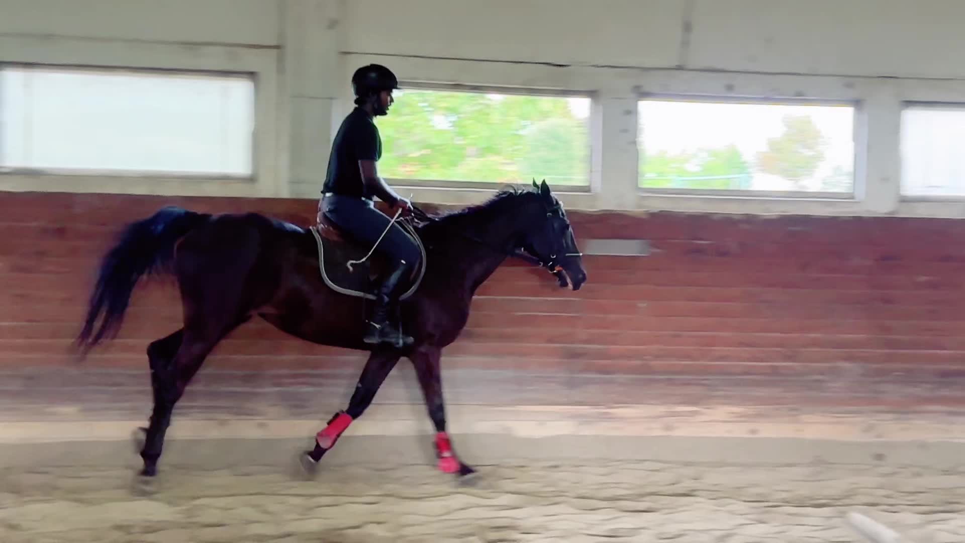 @horse_boy.4