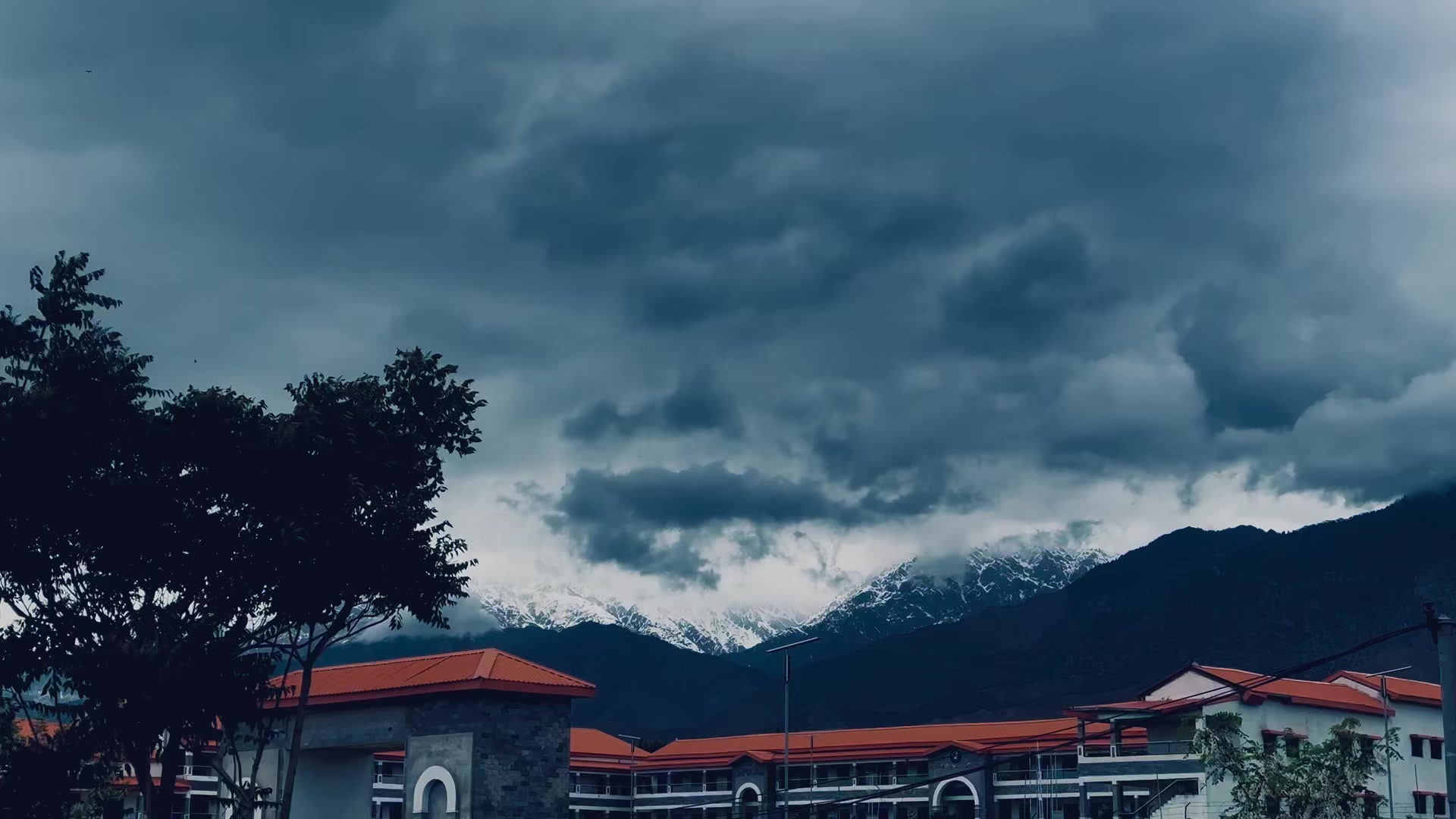 @𓆩𝐘 ᴛᴜʀɪ𓆪✪