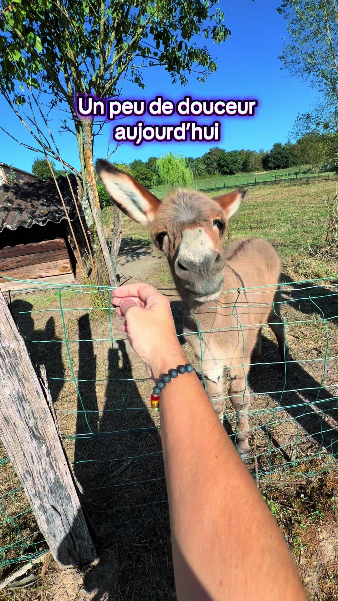 @L’exploratrice 🌎