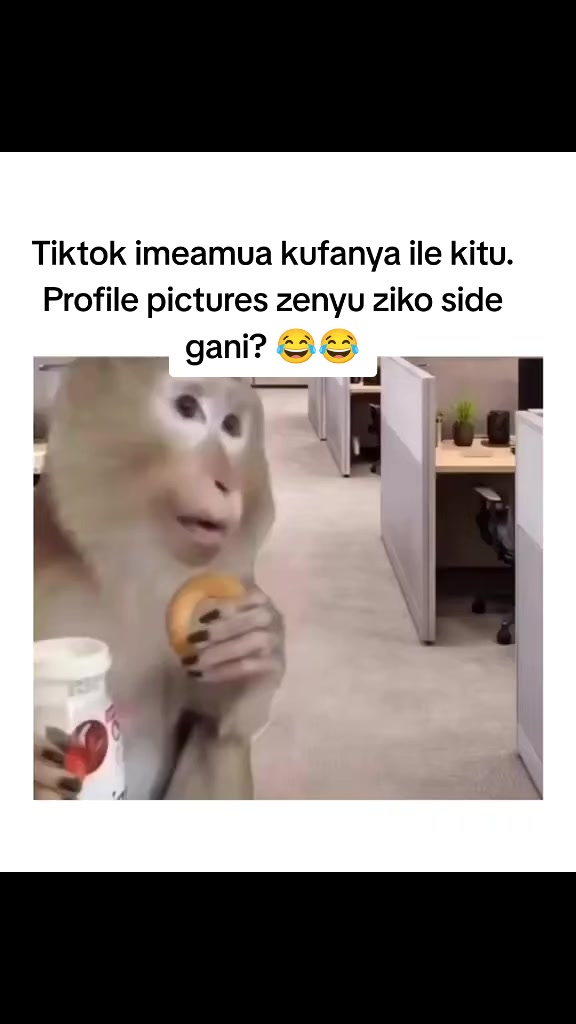 @Cate Genesis