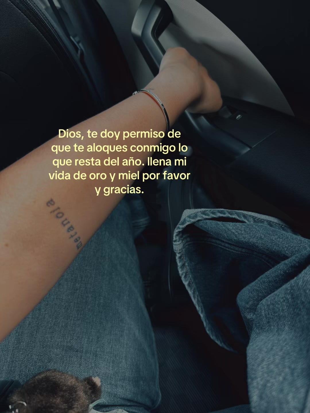 @✦