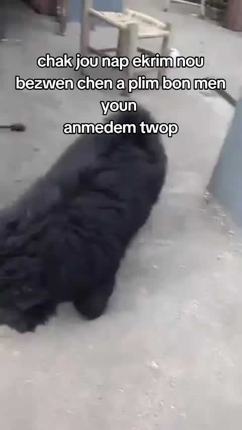 @Bendog