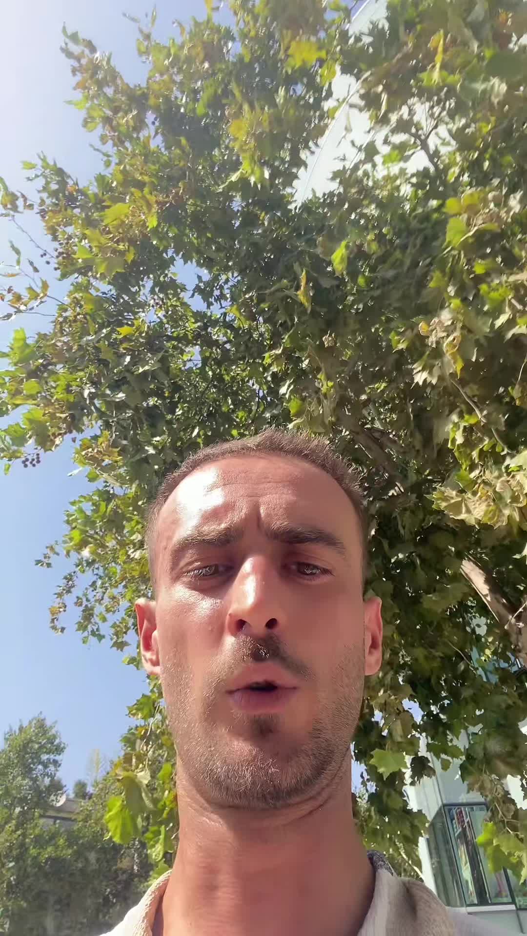@Visuar Dalipi