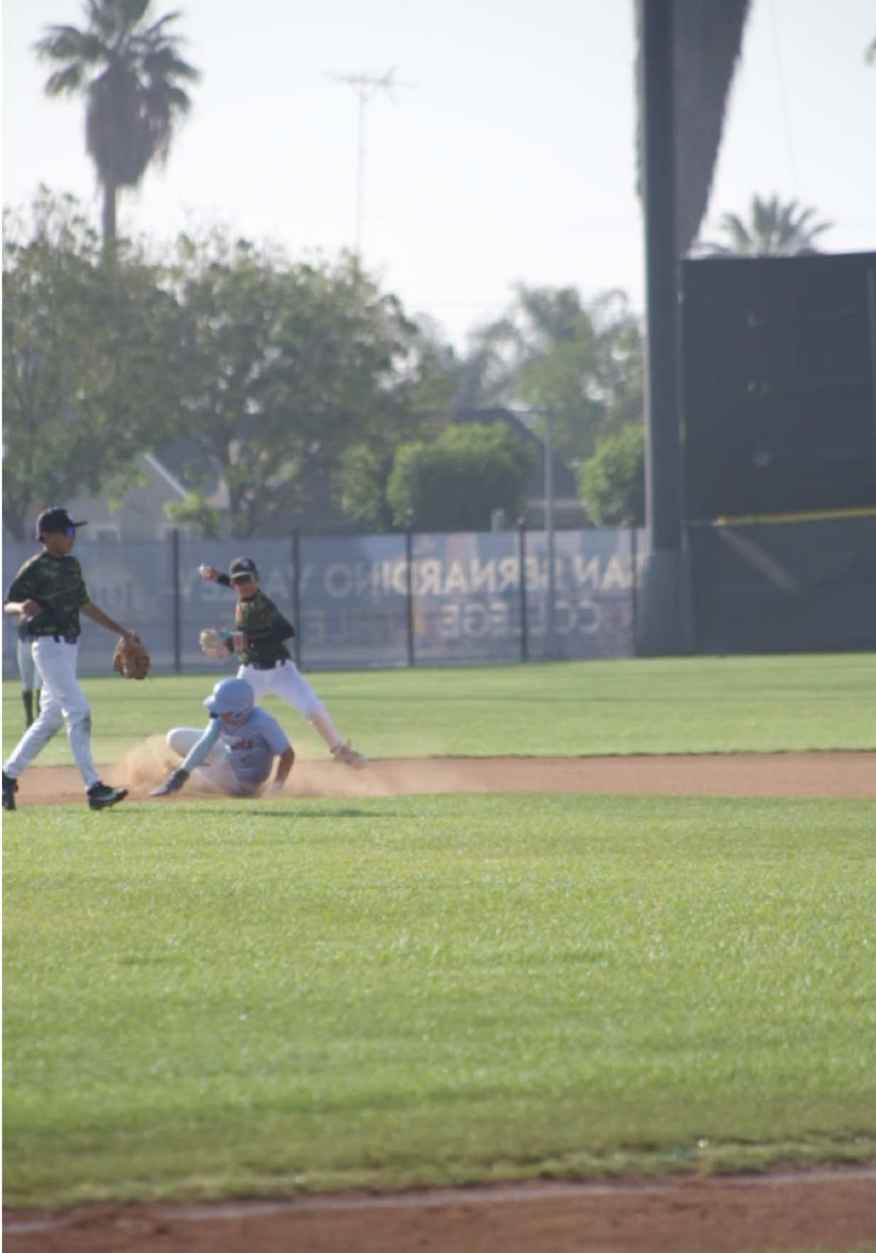 @wcblackdogs.ie