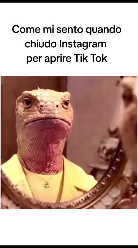 @stuprino quack