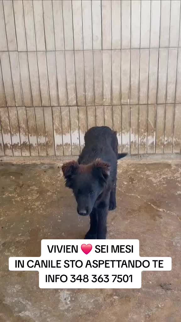 @Manuela