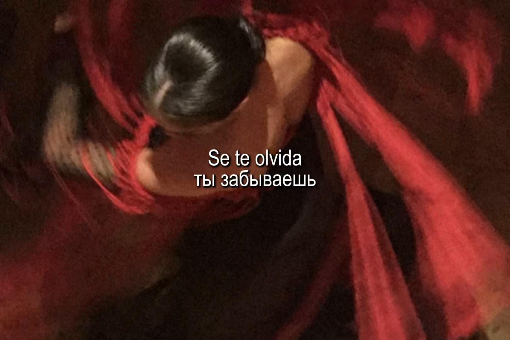 @eclipse🧊🍒