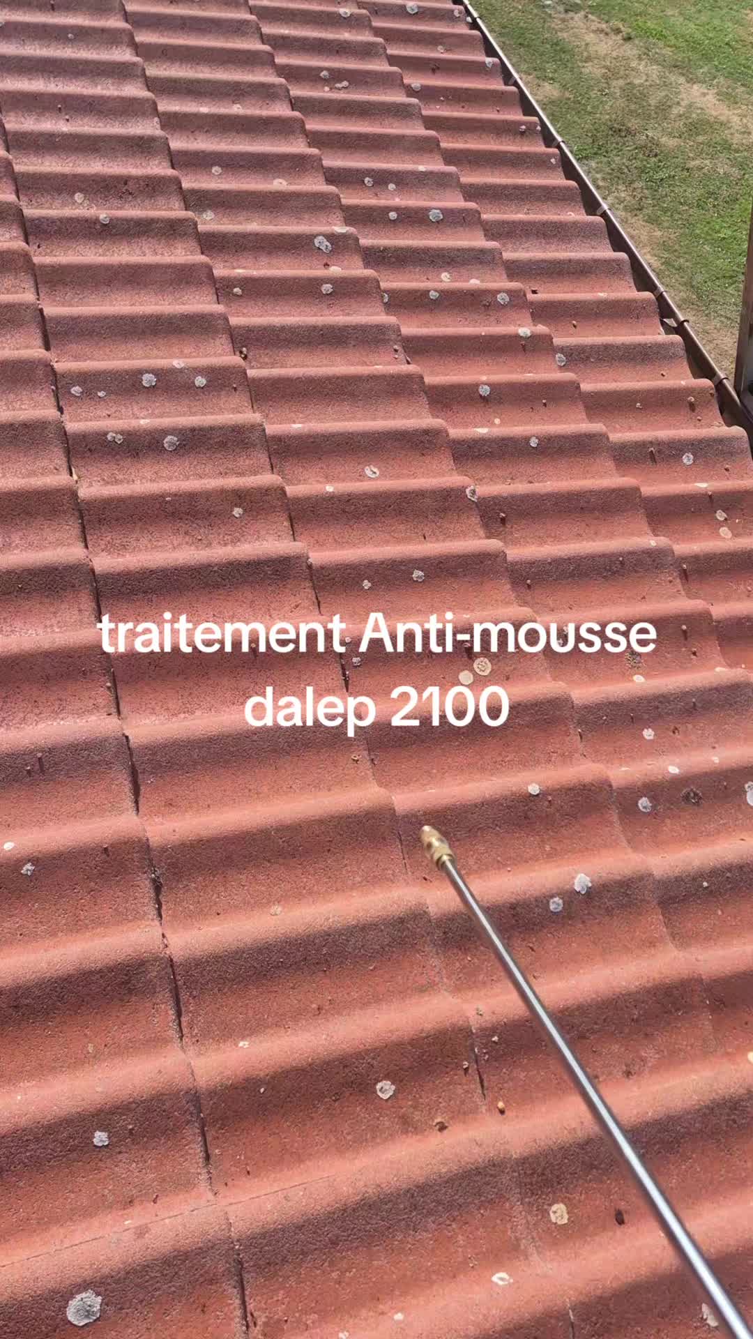 @BAUMGAERTNER