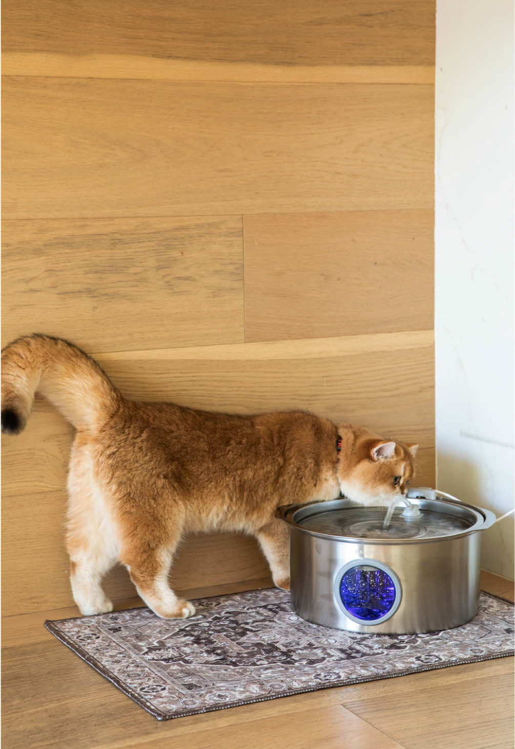 @Lovewag Pets
