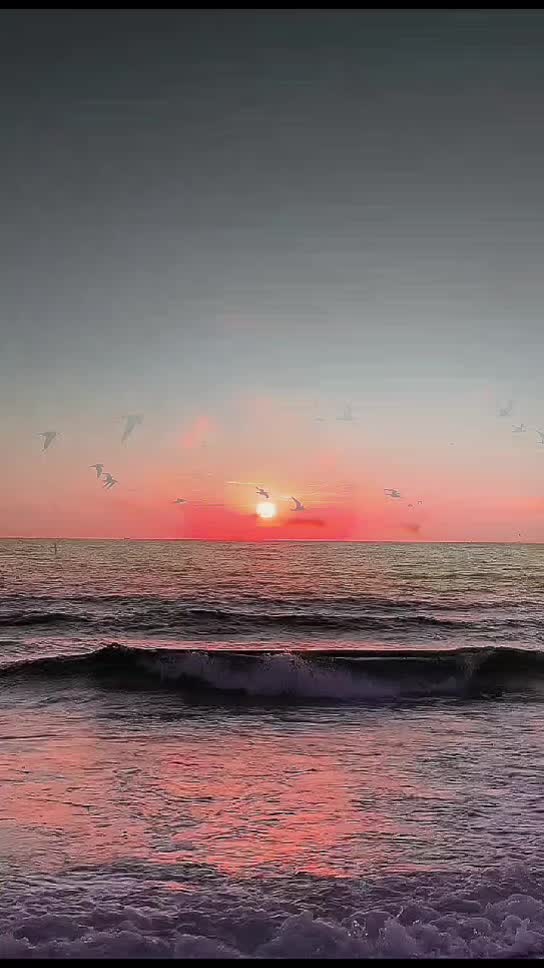 @🦢