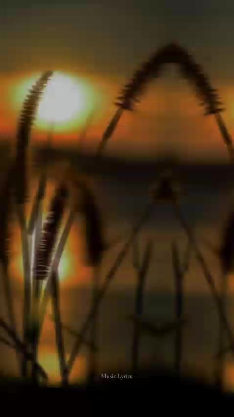 @ᴍᴜꜱɪᴄ ʟʏʀɪᴄꜱ