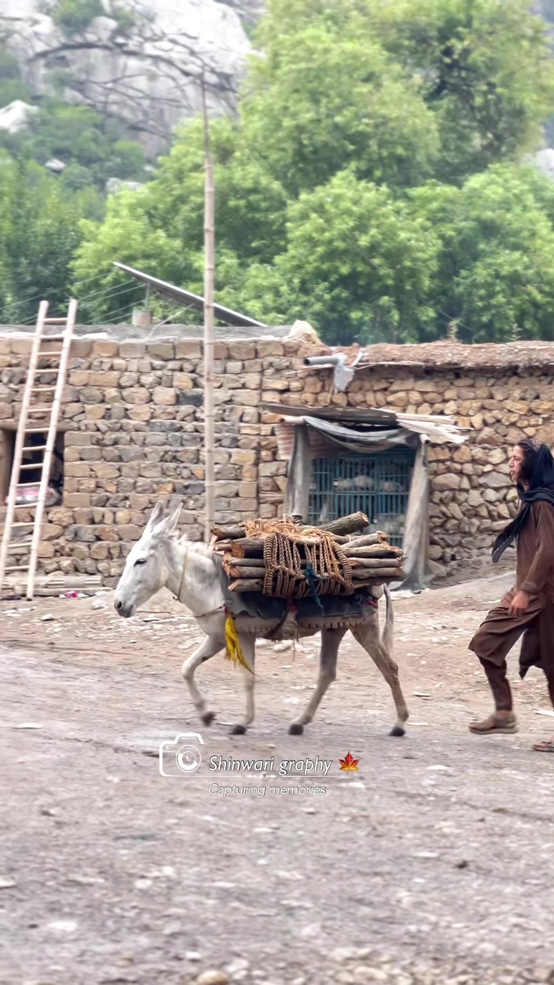 @Shinwari Graphy