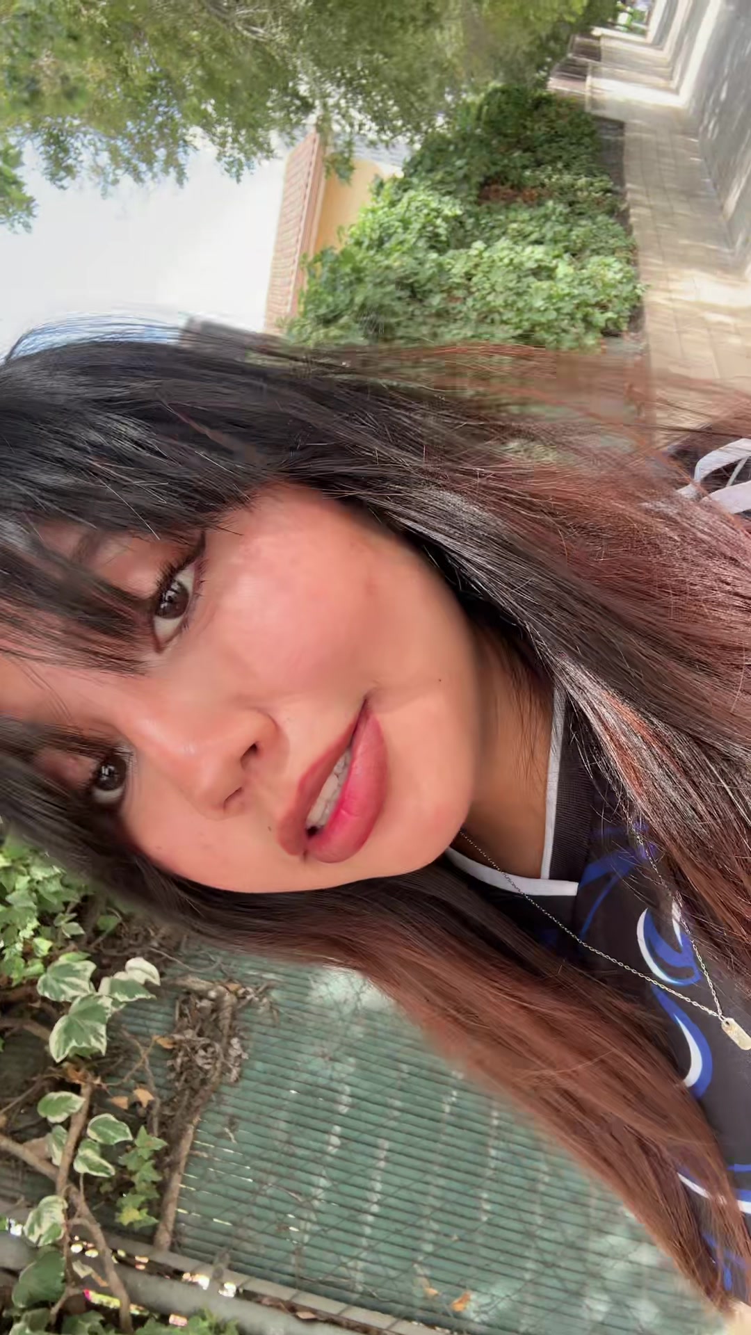 @Celeste🦕