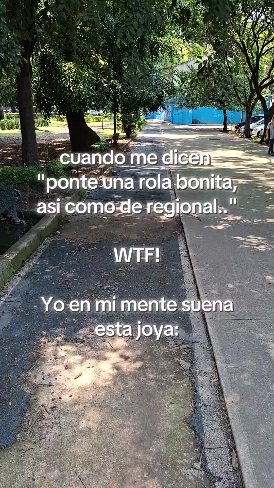 @Rodolfo G