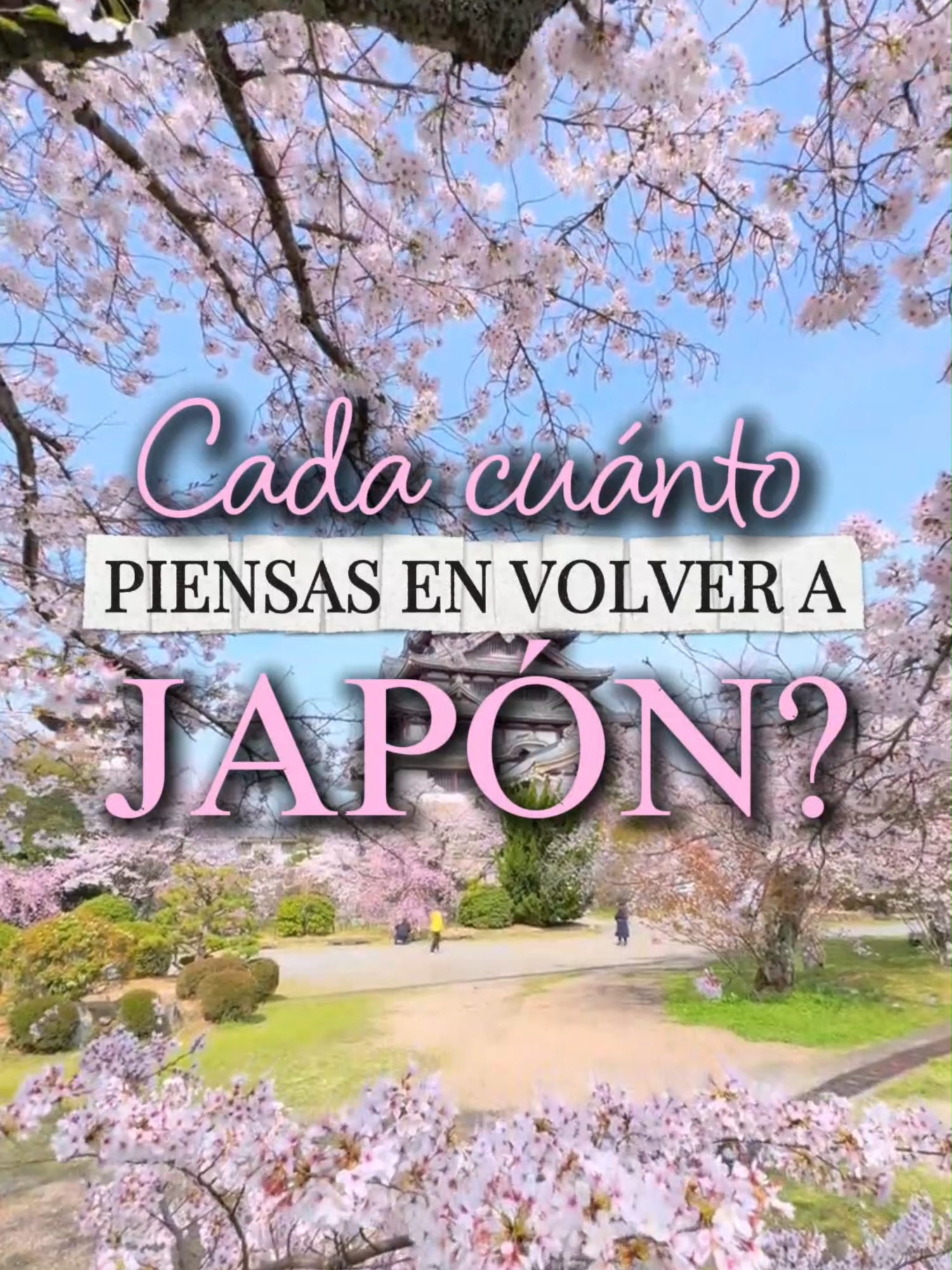 @TravelReportMX