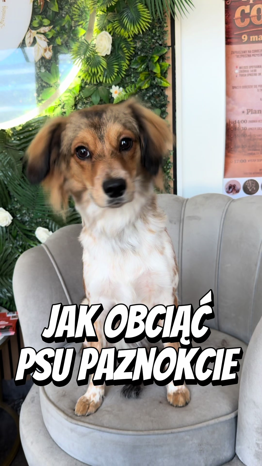 @iwanxoczko