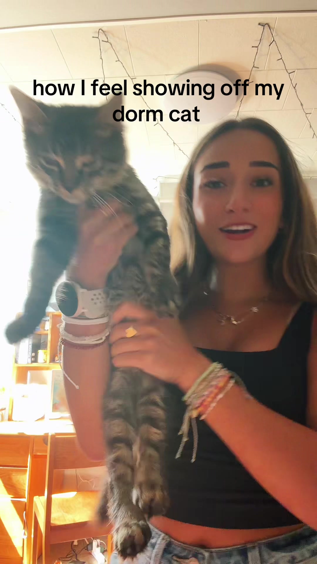@giannaspam8272